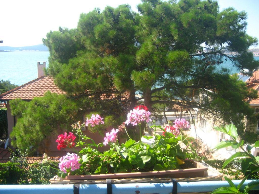 Mavi Pension Hotel Ayvalik Bagian luar foto