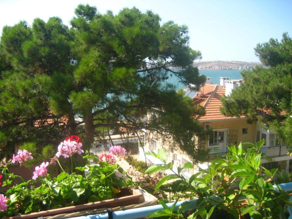 Mavi Pension Hotel Ayvalik Bagian luar foto