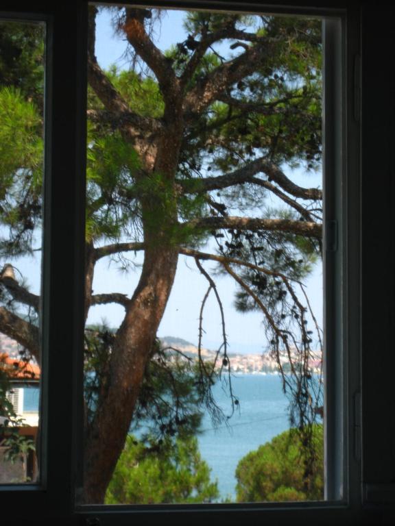 Mavi Pension Hotel Ayvalik Bagian luar foto